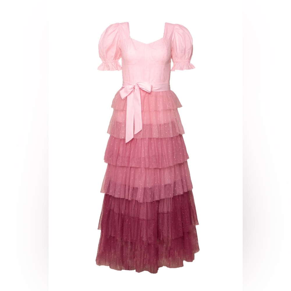 NWT IVY CITY CO WALTZ OF THE FLOWER DRESS - Picture 7 of 13